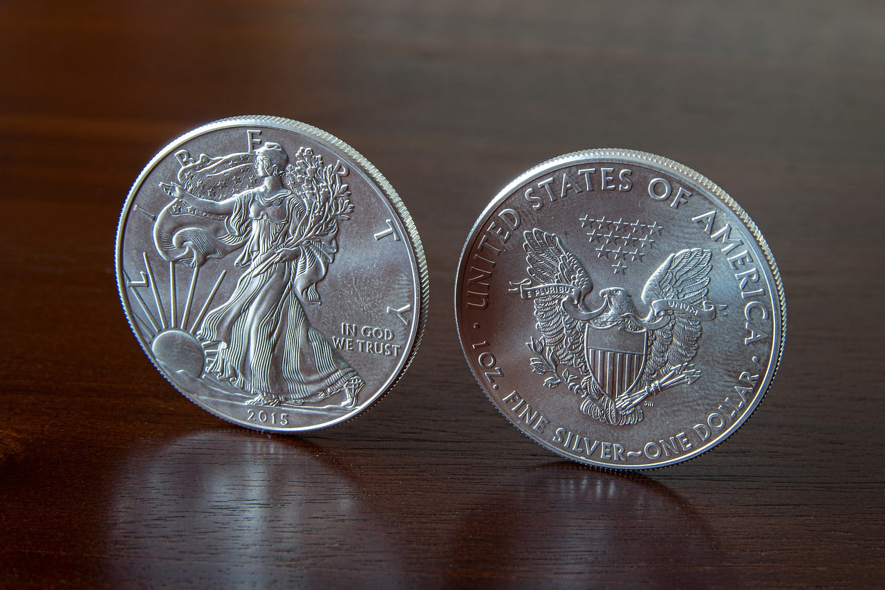 Why Fine Art Coins?